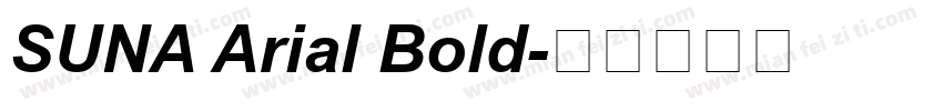 SUNA Arial Bold字体转换